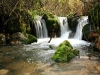 Cascada (Grazalema)