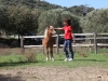 ponys-ubrique-02
