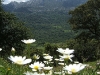 Paisaje