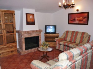 Acogedor salón con chimenea. Dispone de televisión y dvd.